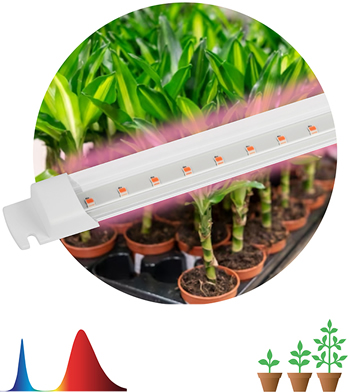 линейный led фитосветильник FITO-10W-Т5-RB-Slim "Эра" - cвечение красно-синего спектра