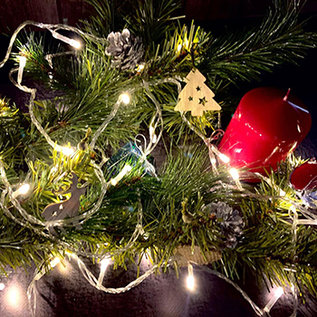 led гирлянда Uniel ULD-S0500-050/DTA Warm White IP20 - пример использования