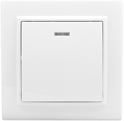 выключатель EKF ERV10-121-10 "Минск" - внешний вид