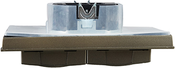 розетка 2-местная IEK РСбш12-3-44-БрШ Brite - вид сбоку