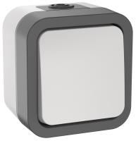 TORS Переключатель однокл. 10А IP55 TS201 сер-бел IEK