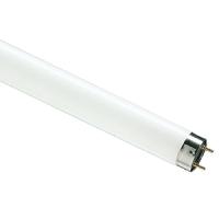 Лампа люм G13 Т8 36Вт 6500К 2500лм Philips