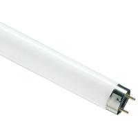 Лампа люм G13 Т8 58Вт 6200К 4000лм Philips 