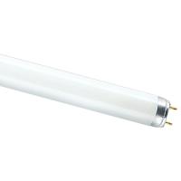 Лампа люм G13 Т8 36Вт 4000К 2850лм Osram 