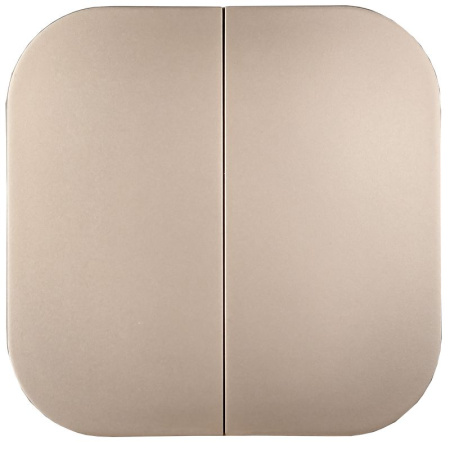 Глори шампань выключатель 2кл открытая 10А IP20  