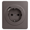 Миле Раунд титан механизм розетки скрытая 1-мест заземление USB IP20 